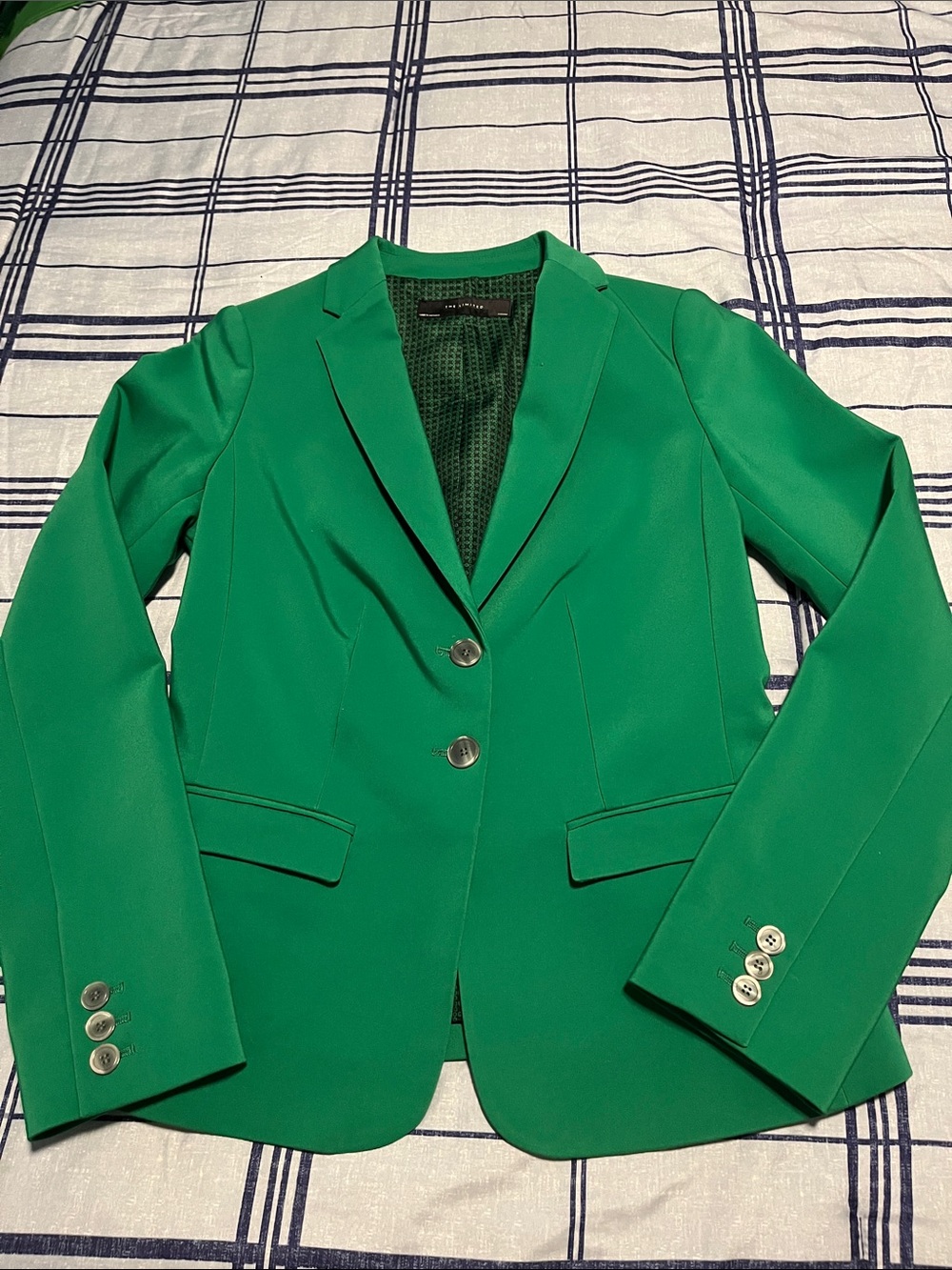 The Limited Emerald Green Tailored Blazer